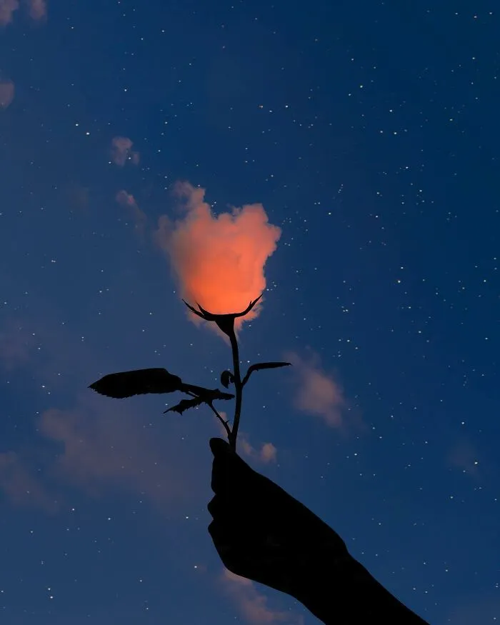 Silhouette Photography By Lân Nguyen (30 Pics)