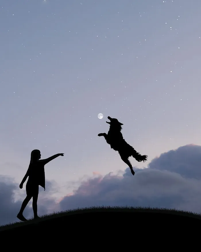Silhouette Photography By Lân Nguyen (30 Pics)