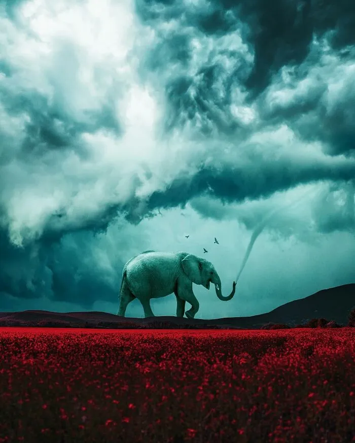 25 Dreamlike Digital Manipulations By Ted Chin