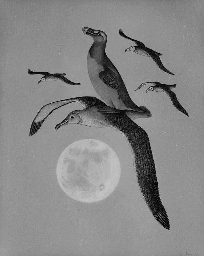 "The Flight Of The Great Auk"