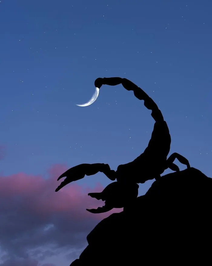 Silhouette Photography By Lân Nguyen (30 Pics)