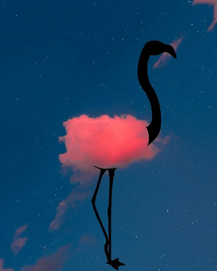Silhouette Photography By Lân Nguyen (30 Pics)