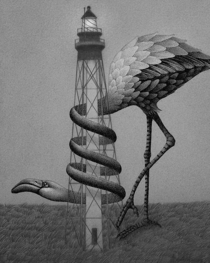 "Coral And The Cape Fear Lighthouse"