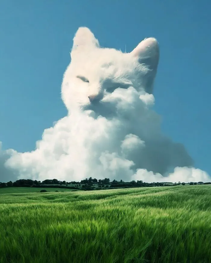 25 Dreamlike Digital Manipulations By Ted Chin