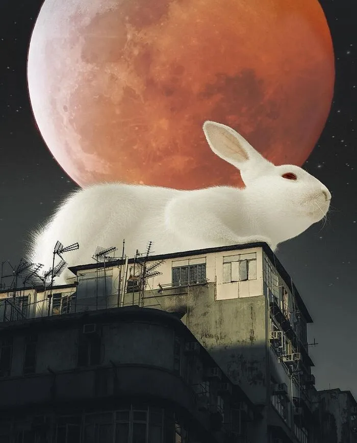 25 Dreamlike Digital Manipulations By Ted Chin