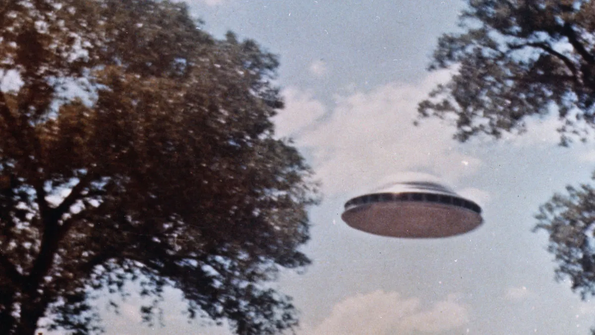 30 Times People Found The Coolest And Most Interesting Wikipedia Articles