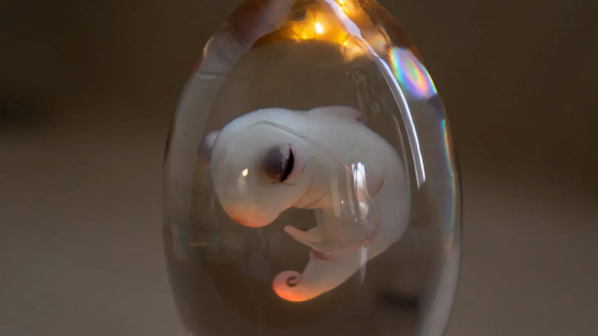 40 Creepy And Cool Things People Created With Their Own Hands