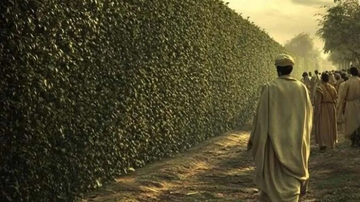 History Addicts Are Sharing Interesting Pics And Facts And Here Are 50 Of The Best Ones