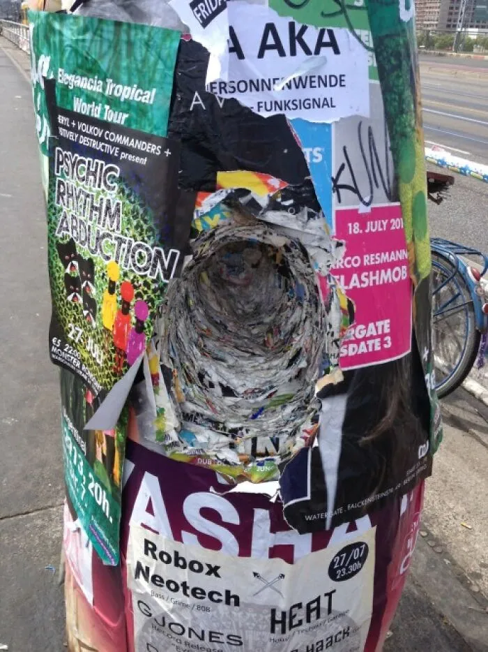 Weathered poster-covered pole with a deep circular tunnel from years of wear and tear.
