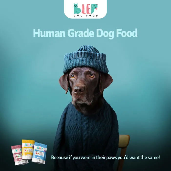 Paw-Sitive Impact: 29 Iconic Dog Ads That Stole Hearts Globally
