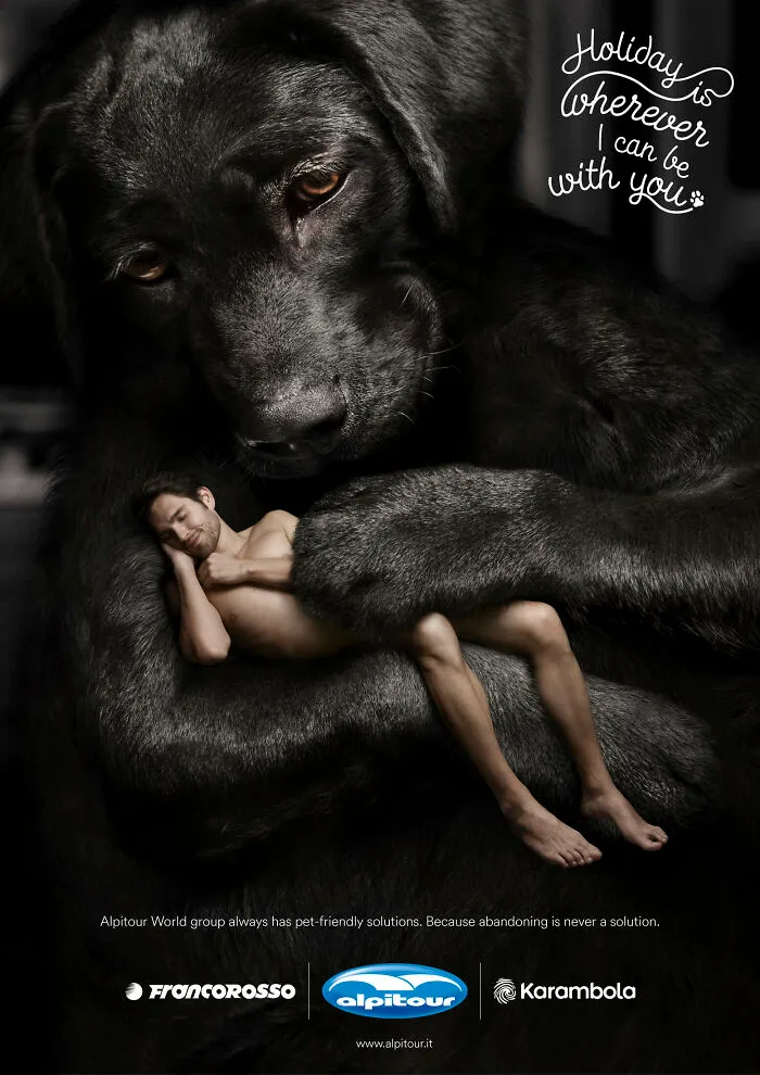 Paw-Sitive Impact: 29 Iconic Dog Ads That Stole Hearts Globally
