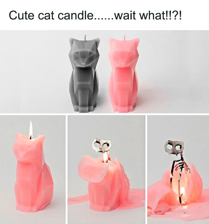 Cat Candles