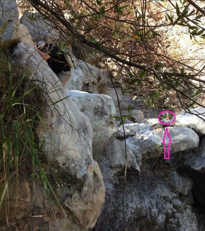 26 Fotos inquietantes que parecen normales hasta que conoces su historia
