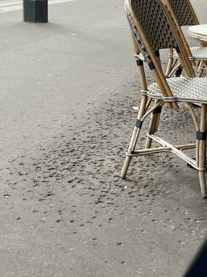 This Terrace In A Parisian Café