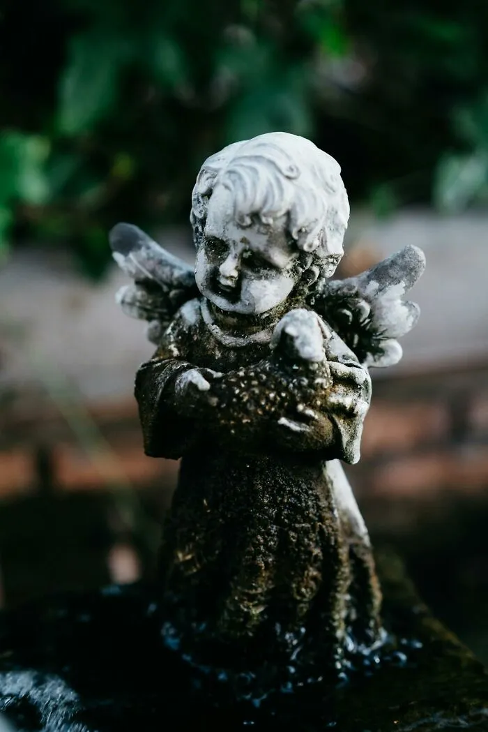 30 Times Doctors Found Something So Disturbing Inside A Body, They Had To Share It