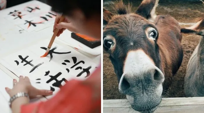Would You Rather Be Able To Speak Any Language Or Be Able To Communicate With Animals?