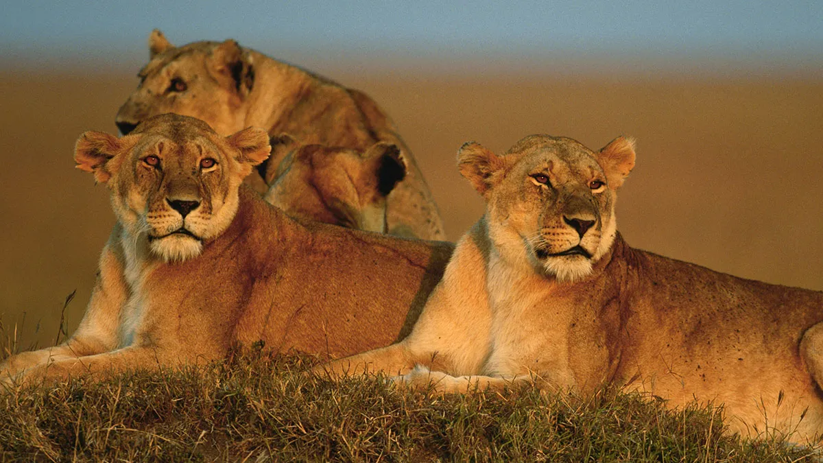 50 Facts People Just Learned That Are So Awesome They Had To Share (New Pics)