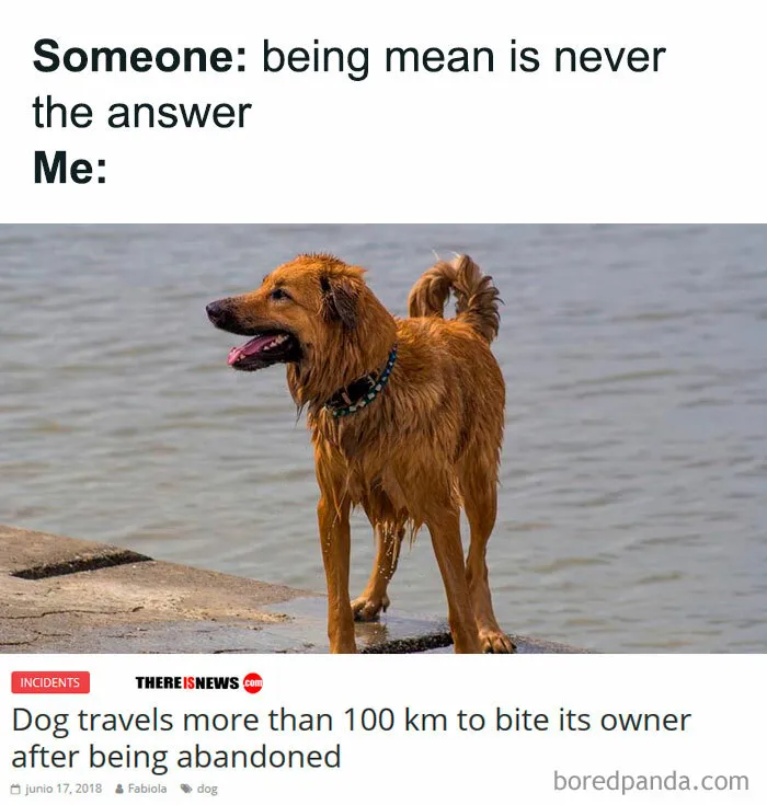 40 Memes That May Induce Awkward Laughs Because Of How True They Are