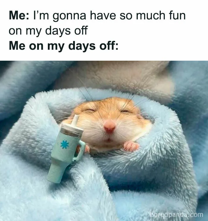 40 Memes That May Induce Awkward Laughs Because Of How True They Are