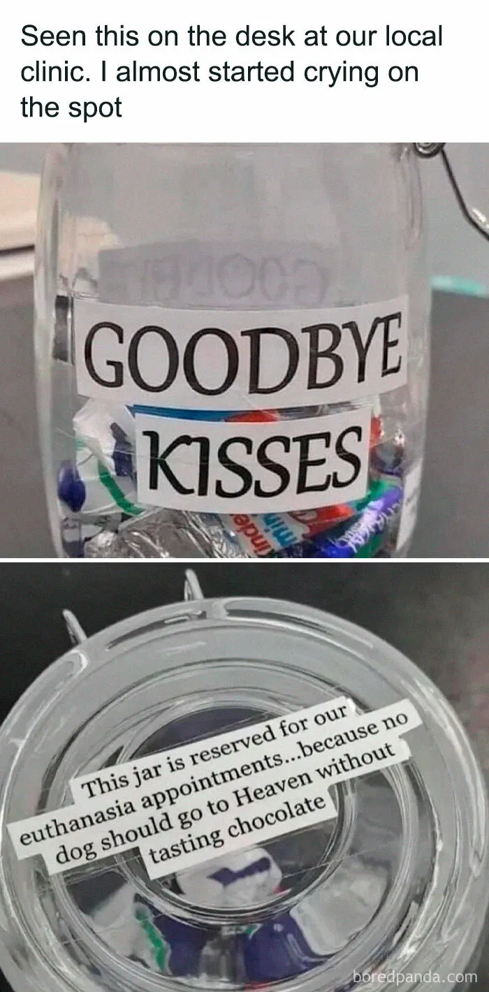 40 Memes That May Induce Awkward Laughs Because Of How True They Are
