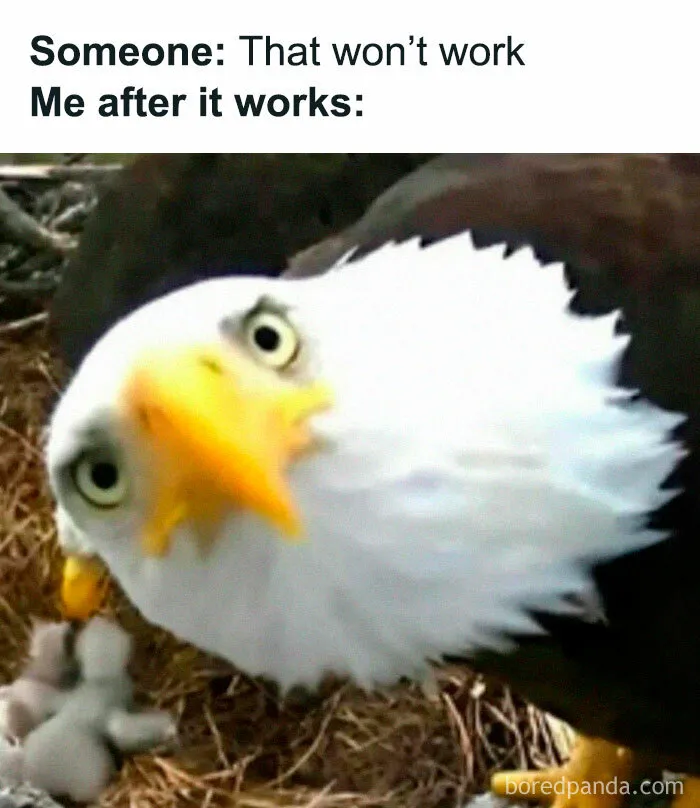 40 Memes That May Induce Awkward Laughs Because Of How True They Are