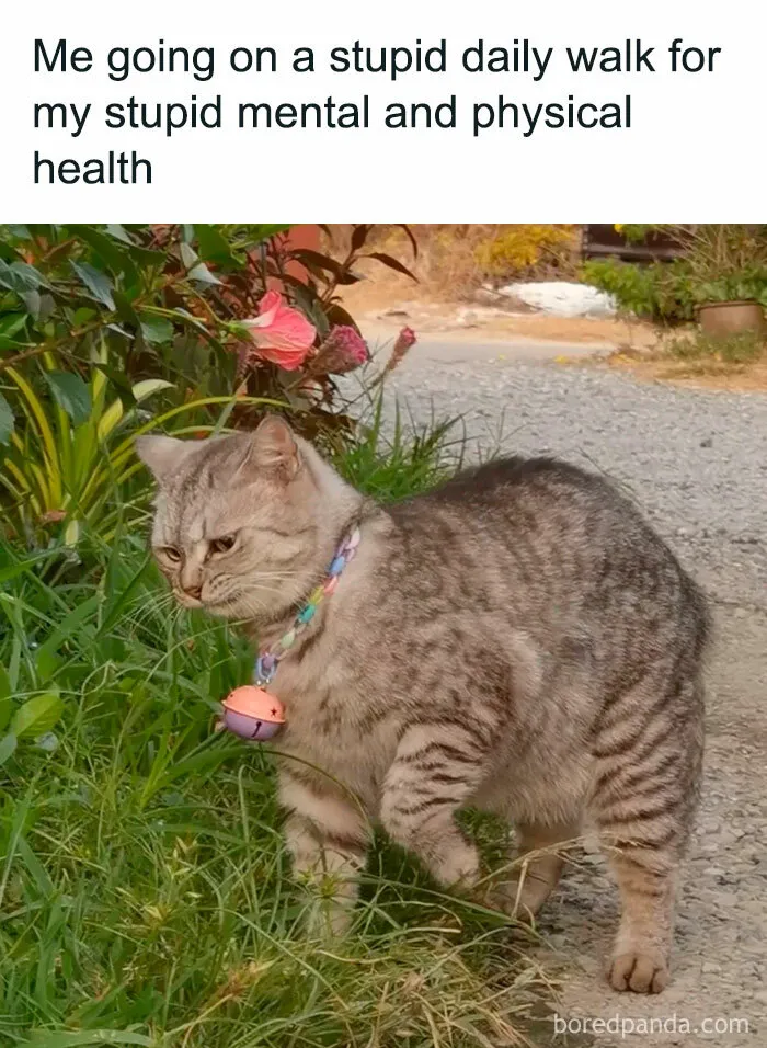 40 Memes That May Induce Awkward Laughs Because Of How True They Are