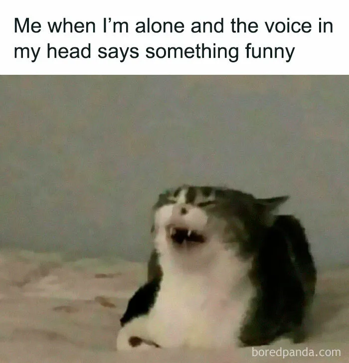 50 Relatable Memes For Anyone Who’s Had Enough Of People (New Pics)