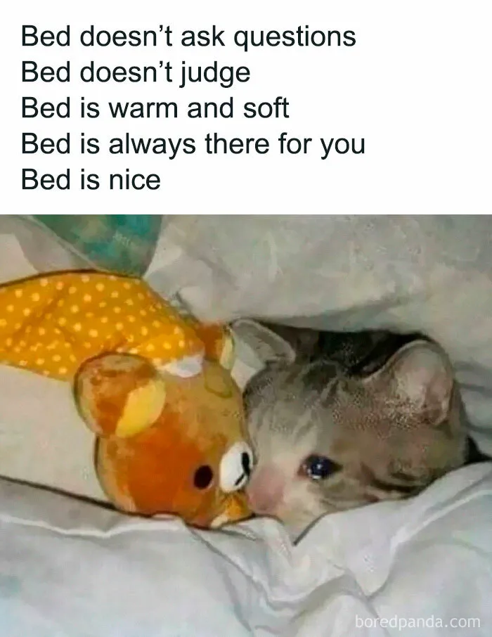 50 Relatable Memes For Anyone Who’s Had Enough Of People (New Pics)