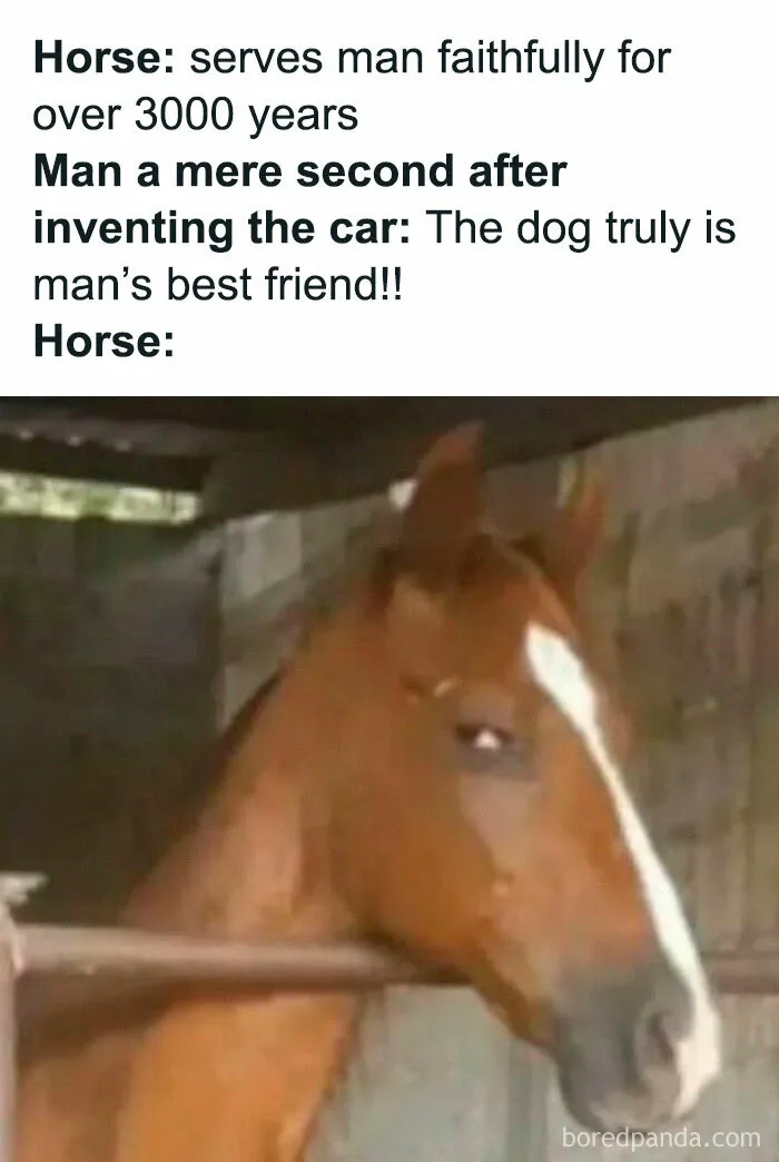 50 Relatable Memes For Anyone Who’s Had Enough Of People (New Pics)