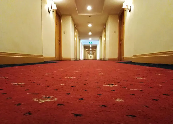 Dimly lit hotel hallway with red carpet, evoking a sense of urgency and fear.
