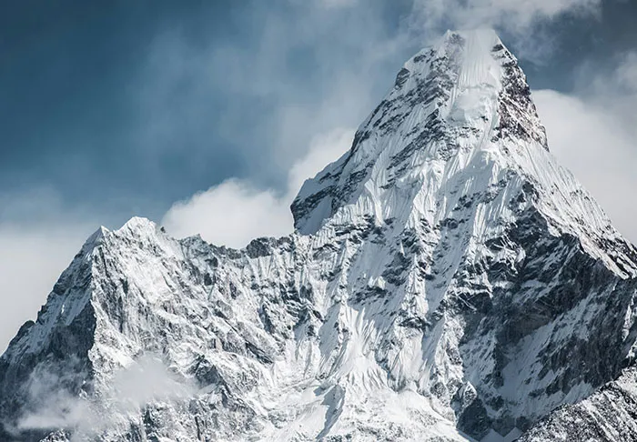 30 Terrifying Facts People Regret Ever Learning