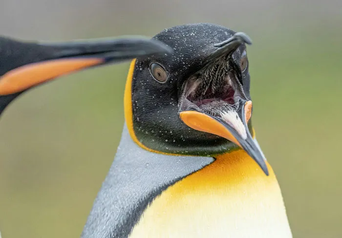30 Terrifying Facts People Regret Ever Learning