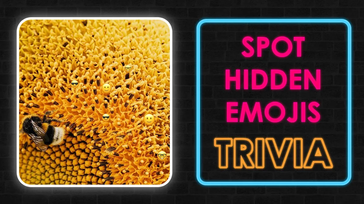 Attention & Eyesight Are Mandatory To Pass This Quiz: Spot The Hidden Emojis In Images