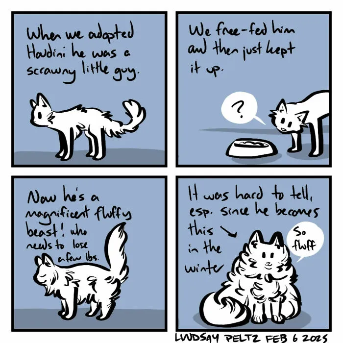 Artist Created 25 Relatable Comics That Perfectly Capture Life’s Struggles