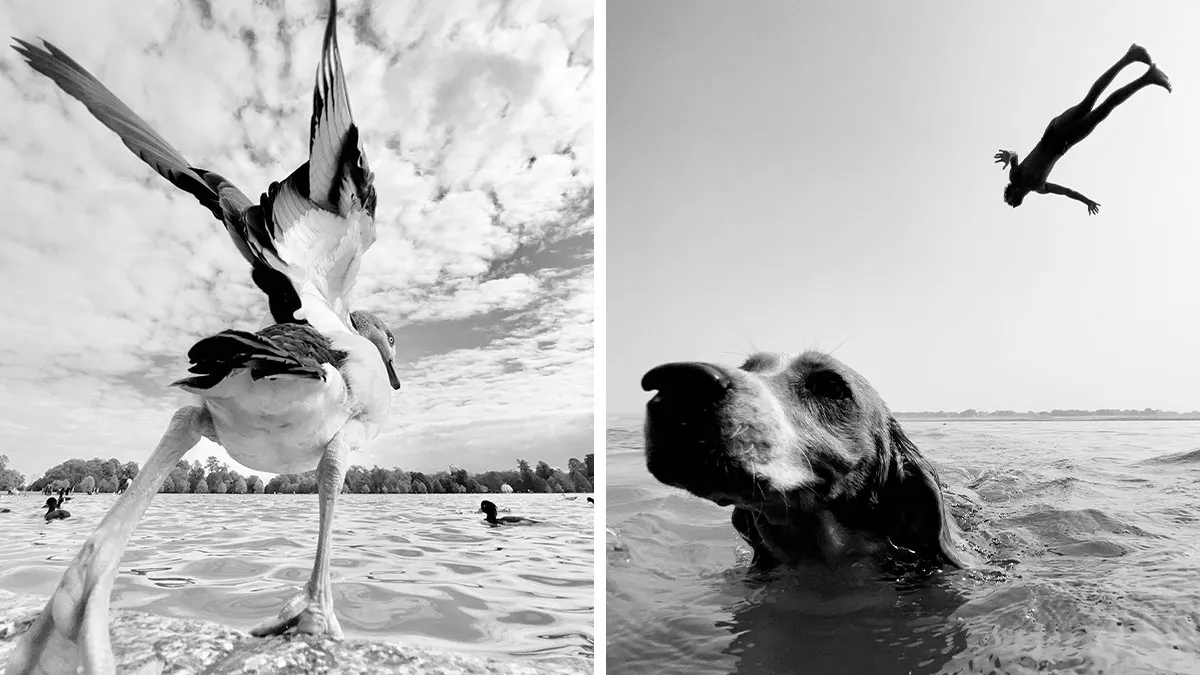 This Photographer Finds Just The Perfect Timing For Her B&W Photos, And Here's 30 Of Them