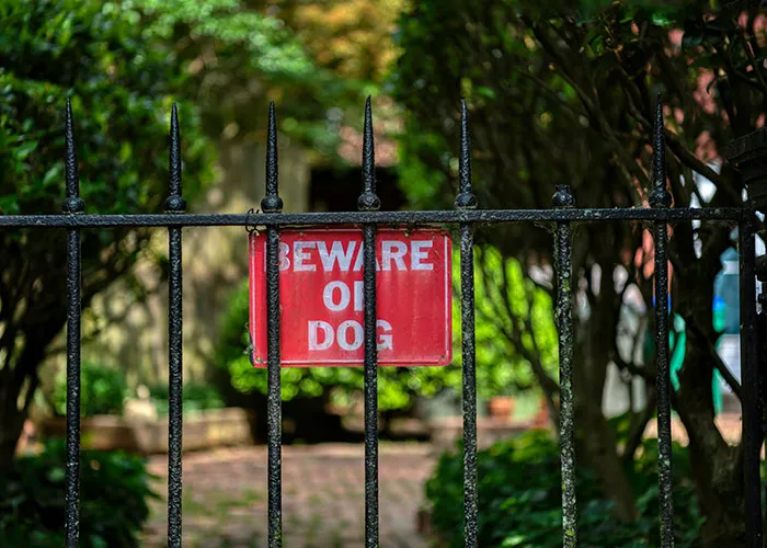 “The Thief Lost”: 31 Court Cases That Are So Stupid It’s Comical