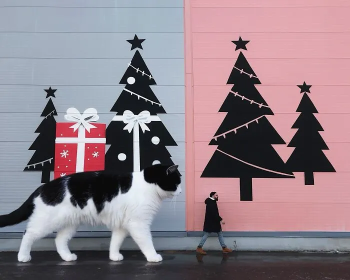 If Cats Were Giants: 24 Surreal Images Created By This Artist (New Pics)