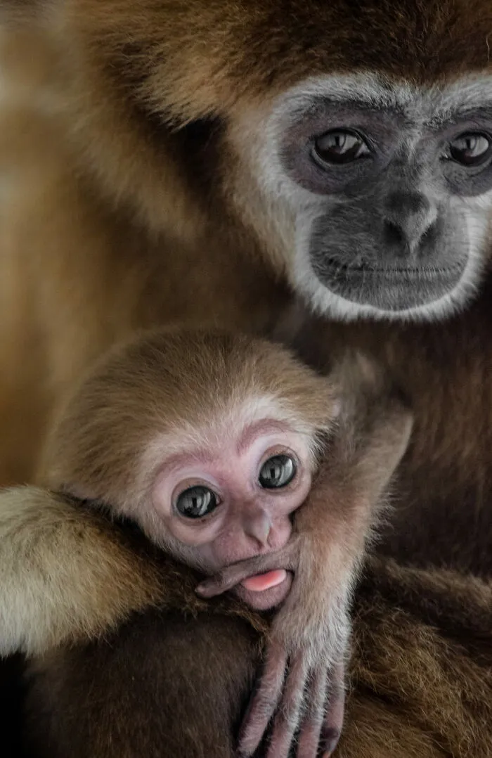 Our Community’s 50 Favorite Nature And Animal Photography Moments, Captured By Talented Photographers