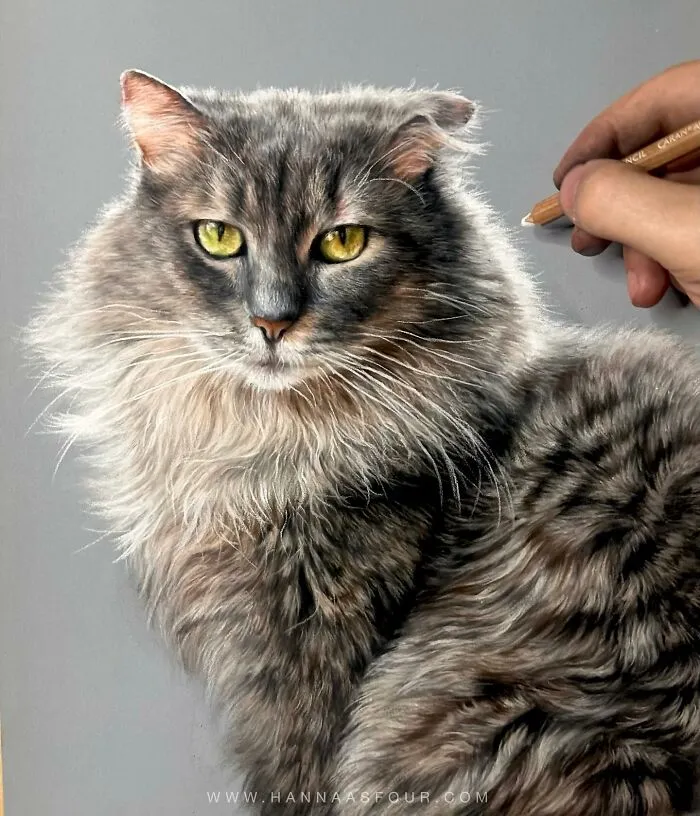 Hyperrealistic Pencil Drawings: 40 Animal Portraits Done By The Talented Hanna Asfour
