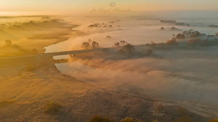 Here's 11 Photos I Took Of The Magical Fog That Transformed My Hometown