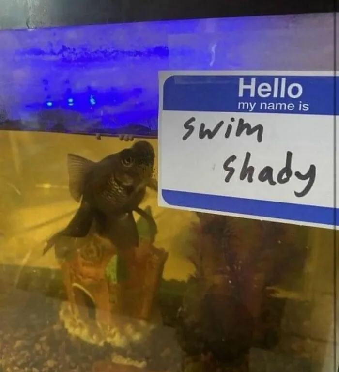 30 Random Images That Don’t Need To Make Sense To Be Funny
