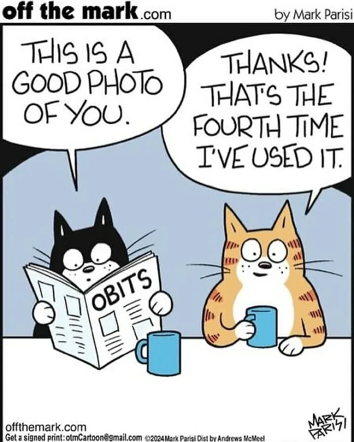 This Artist Sums Up Life With A Cat In His 23 New Funny Cartoons