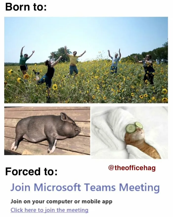 50 Of The Funniest Work Memes To Share With Your Buds At The Water Cooler