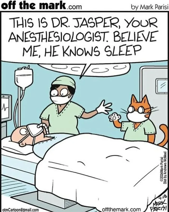This Artist Sums Up Life With A Cat In His 23 New Funny Cartoons