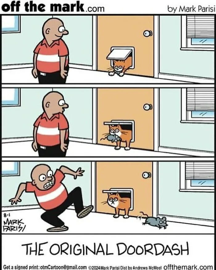 This Artist Sums Up Life With A Cat In His 23 New Funny Cartoons
