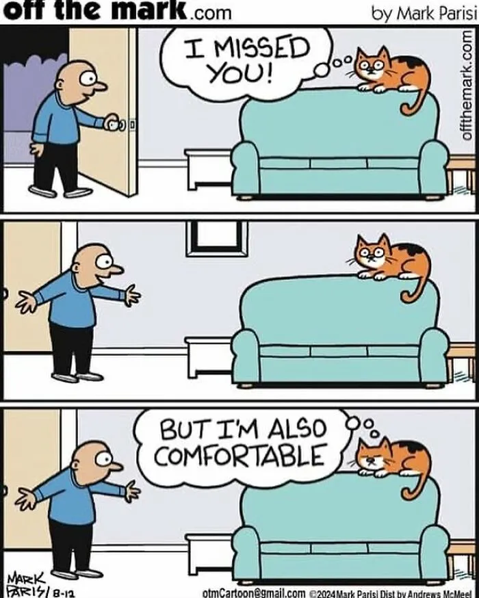 This Artist Sums Up Life With A Cat In His 23 New Funny Cartoons