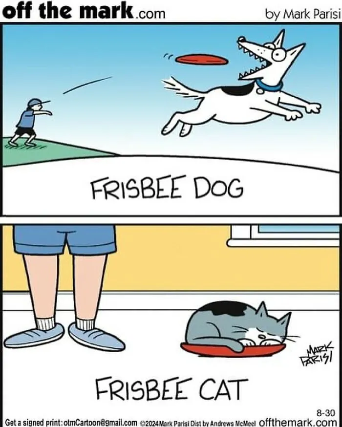 This Artist Sums Up Life With A Cat In His 23 New Funny Cartoons
