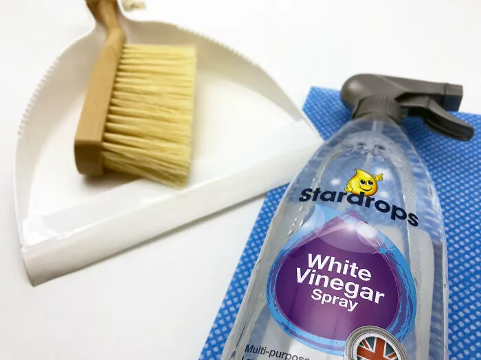 White vinegar spray and cleaning brush on a dustpan, exemplifying essential cleaning rules.