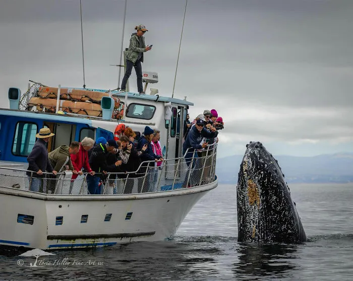 This Photographer Traveled Across The World And Captured These 30 Stunning Wildlife Moments