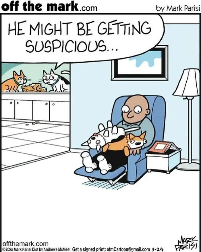 This Artist Sums Up Life With A Cat In His 23 New Funny Cartoons